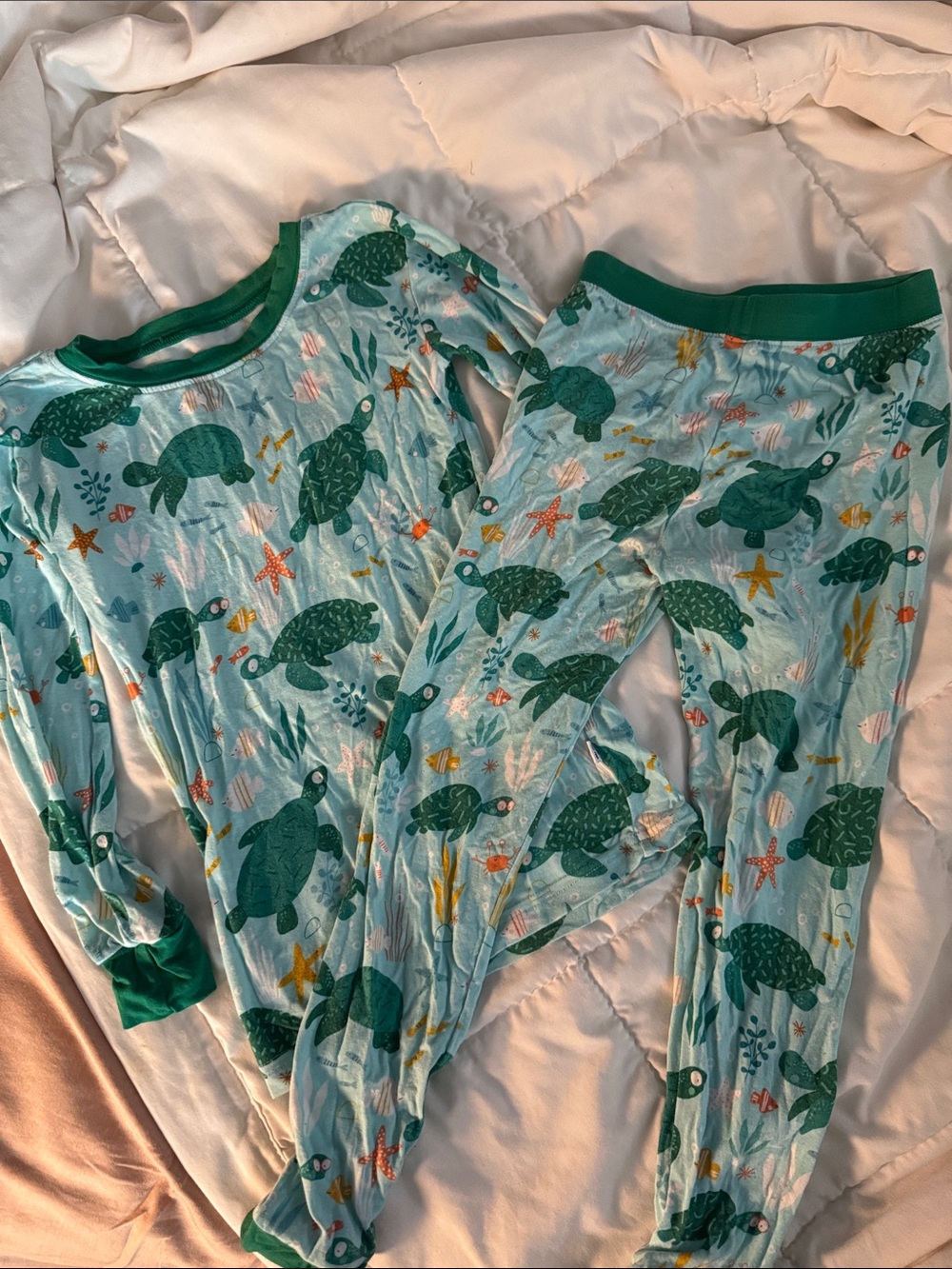 Little Sleepies Sea Turtle Bamboo Pajama Set 4T Long Sleeve Two Piece